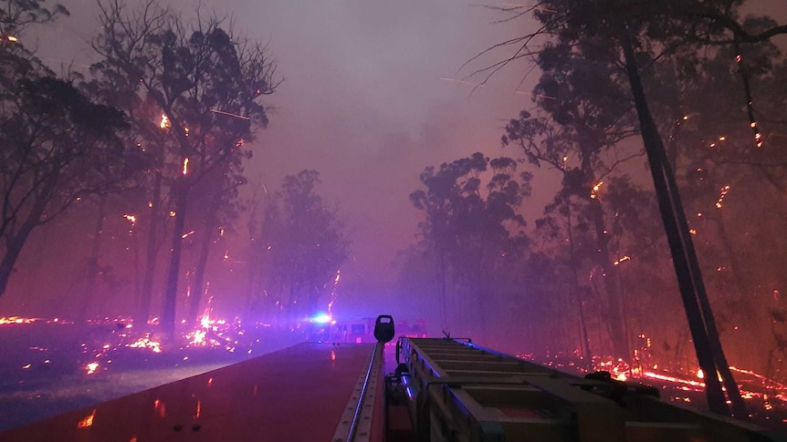 The view from the back of a fire truck as it moves through a bushfire. There's purple smoke everywhere, and the ground is onfire