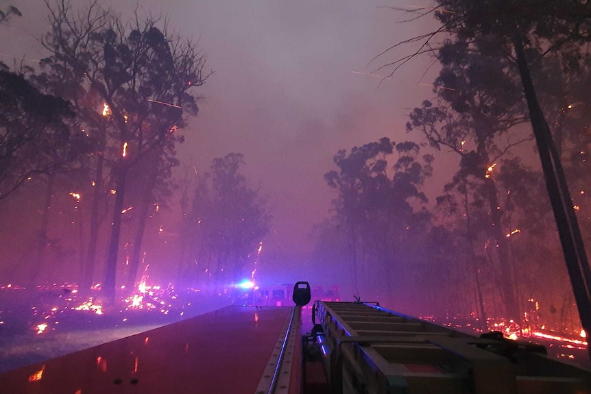 The view from the back of a fire truck as it moves through a bushfire. There's purple smoke everywhere, and the ground is onfire