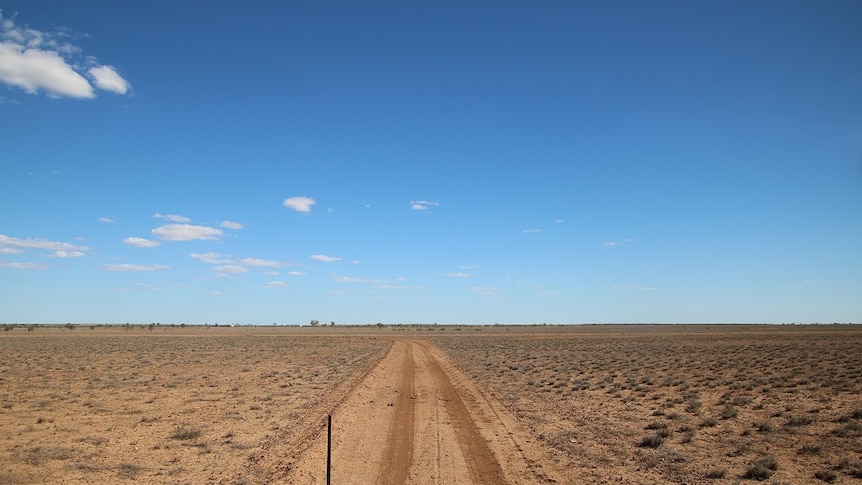 A shot of parched, brown land.