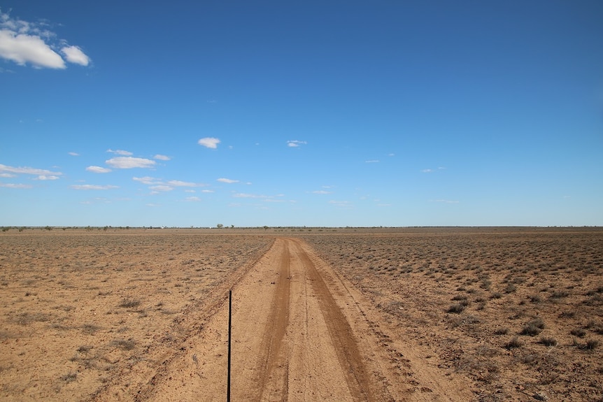 A shot of parched, brown land.