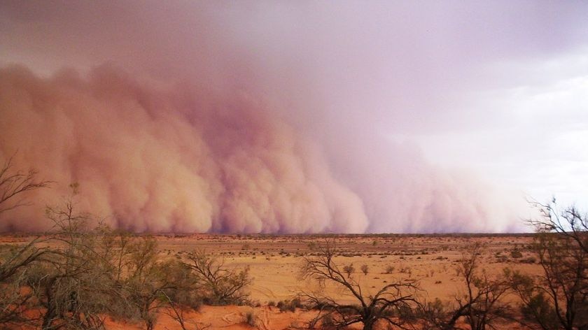 BHP Billiton told to address dust risks from any uranium mining expansion - file photo