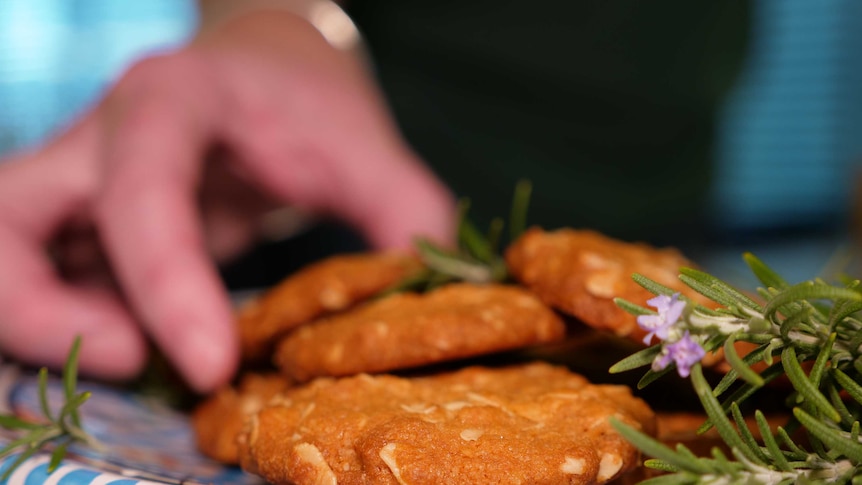 A hand picking up a biscuits from a plate of Anzac biscuits.