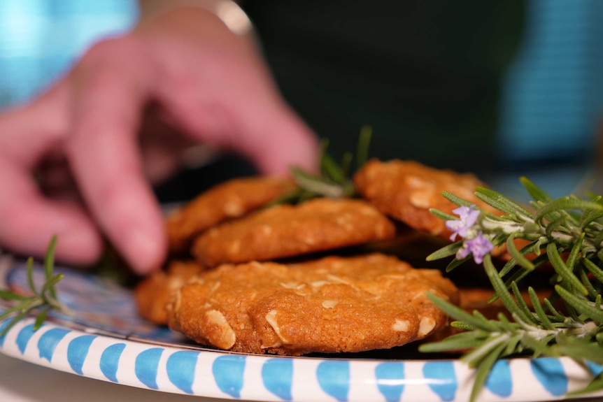 A hand picking up a biscuits from a plate of Anzac biscuits.