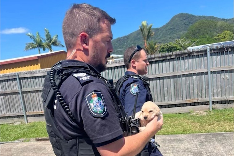 A policeman holding a small puppy