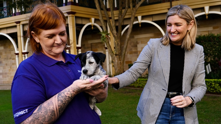 DV Connect spokeswoman Beck O'Connor with a puppy and Attorney-General Shannon Fentiman