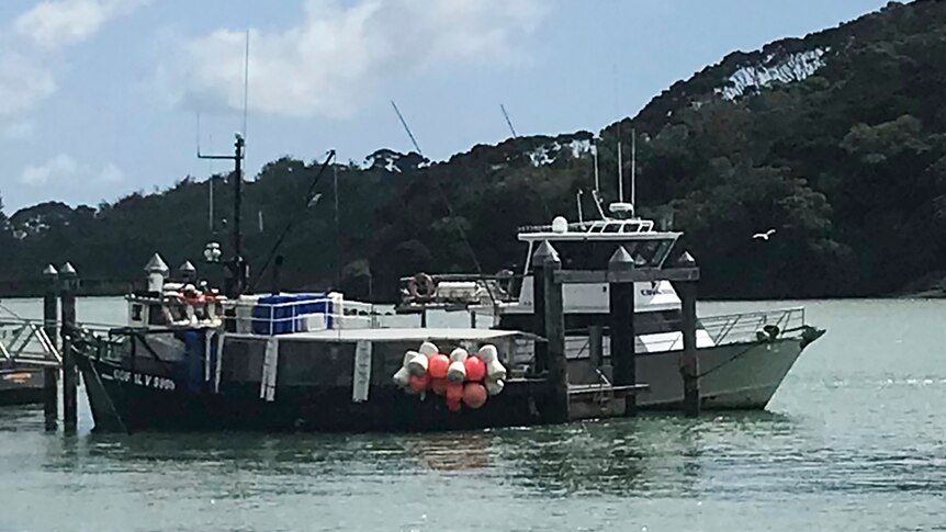 A charter fishing boat in New Zealand.