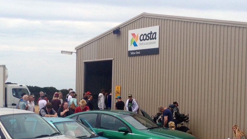 Dozens of hopeful workers line up outside Cost headquarters in East Devonport