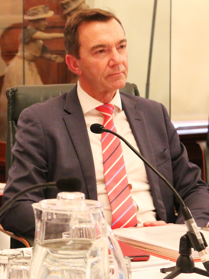 Mark Sayer, interim TasTafe chief executive, at senate estimates.