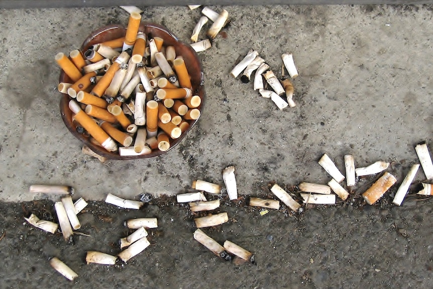 A pile of cigarette butts in an ashtray, surrounded by other white butts.