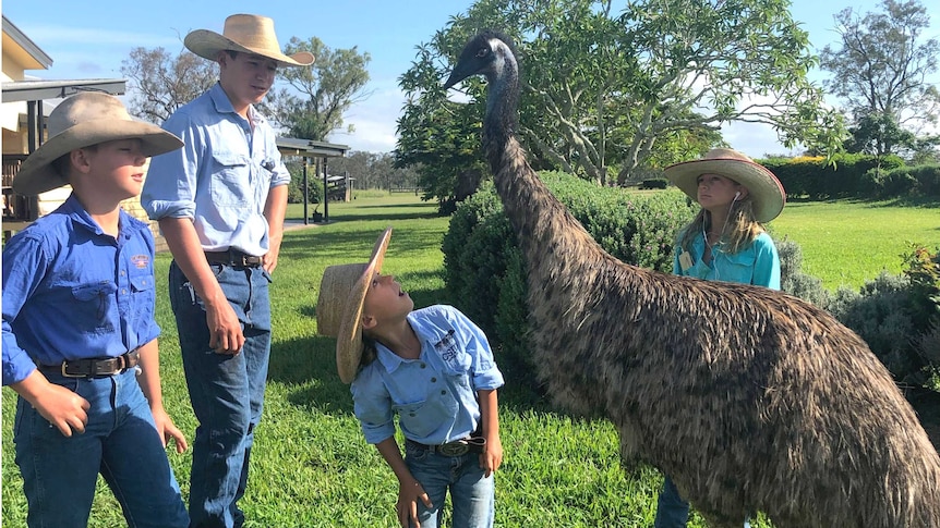 A young girl looks up at a tall emu, surrounded by her siblings.