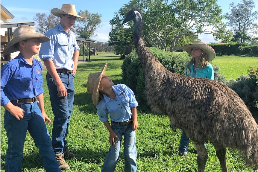 A young girl looks up at a tall emu, surrounded by her siblings.