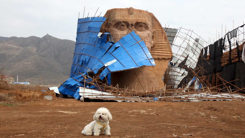 A dog is seen in front of the head of a Sphinx replica, removed from its body, at a theme park.