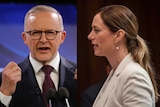 Anthony Albanese and Rebecca White composite image.