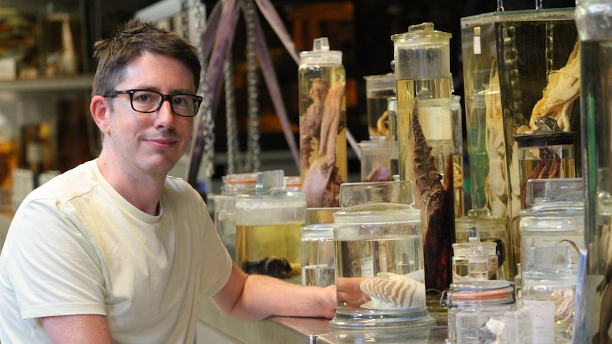 Curator John Ablett is seen with museum specimens