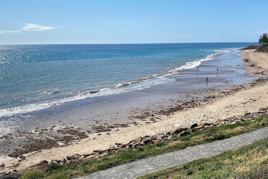 A line of brownish water fills half of a beach cove.