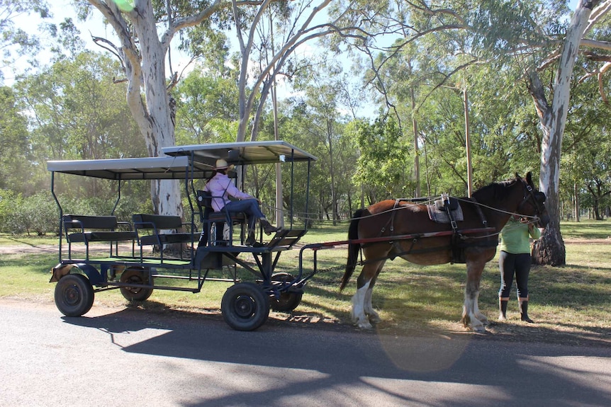 A horse pulls a carriage with two people in it in a park.