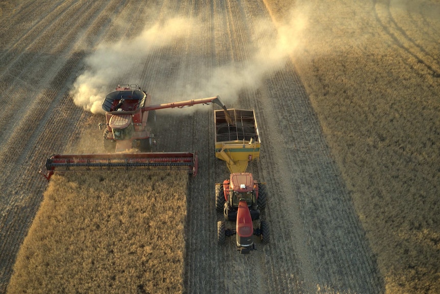 An aerial shot of a crop field in the golden dusk