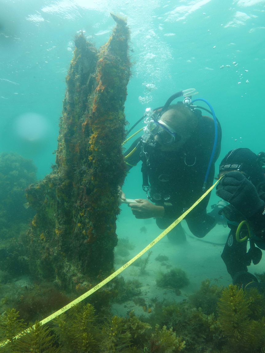 A diver underwater measuring a shipwreck with some tape