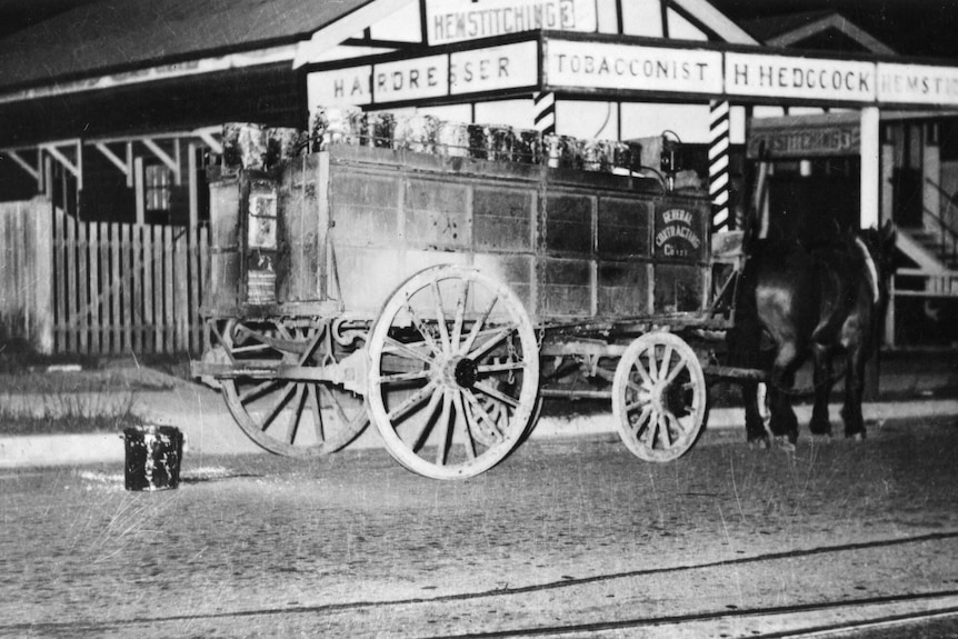 Night soil collection horse and cart in Brisbane.