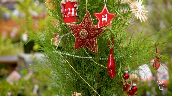 Christmas decorations on tree