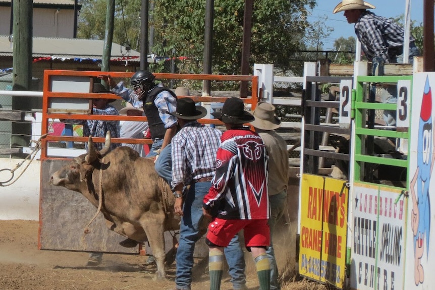 Bull-rider being coached at Longreach rodeo school in central-west Qld in August 2013