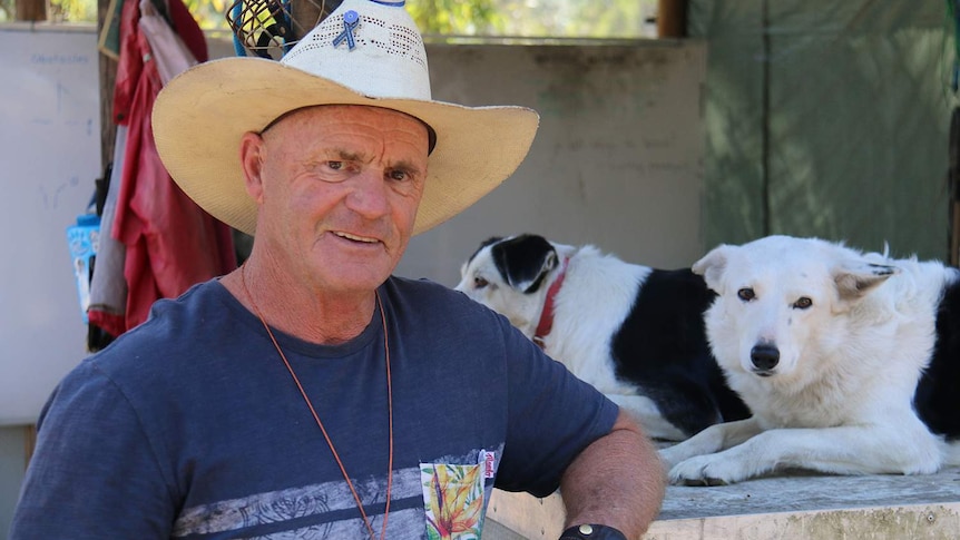 Sheep dog trainer Dale Formosa sits with his dogs Floss and Lately at his herding school in Greenbank