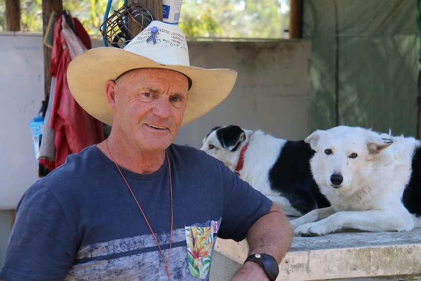 Sheep dog trainer Dale Formosa sits with his dogs Floss and Lately at his herding school in Greenbank