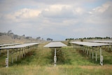 Solar panels sit out in a field in Canberra on an overcast today