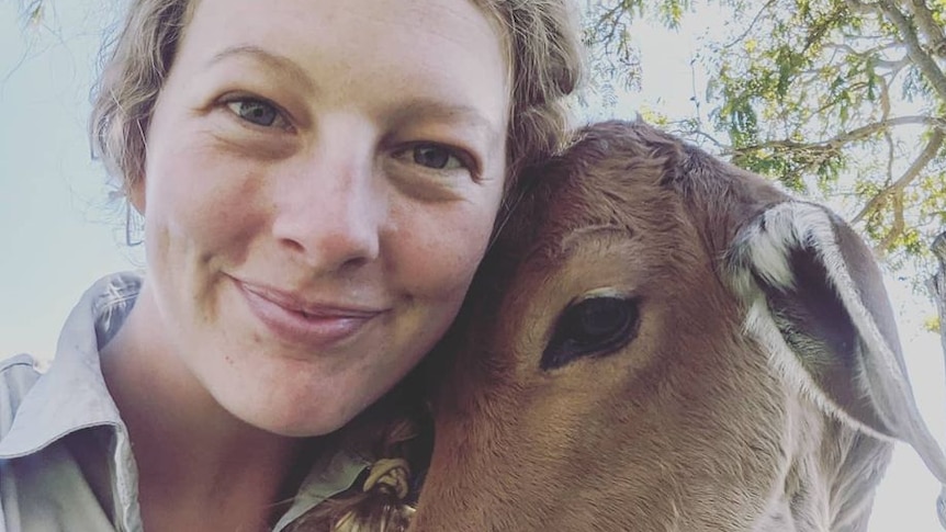 A young woman smiling at the camera as a small cow nestles in against her left cheek and neck