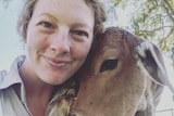 A young woman smiling at the camera as a small cow nestles in against her left cheek and neck