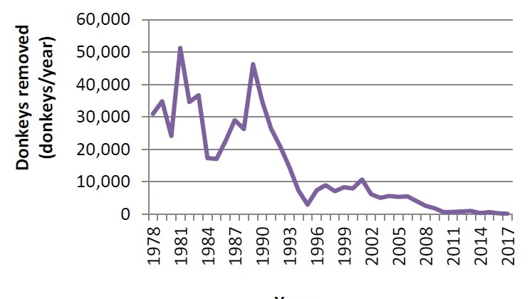 A graph showing the number of donkeys culled between 1978 and 2017