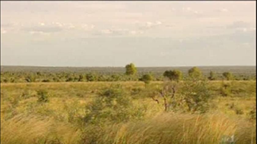 Muckaty Station, north of Tennant Creek