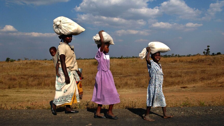 An African mother and her two daughters carry maize sacks on their heads. The mother also carries a baby on her back.