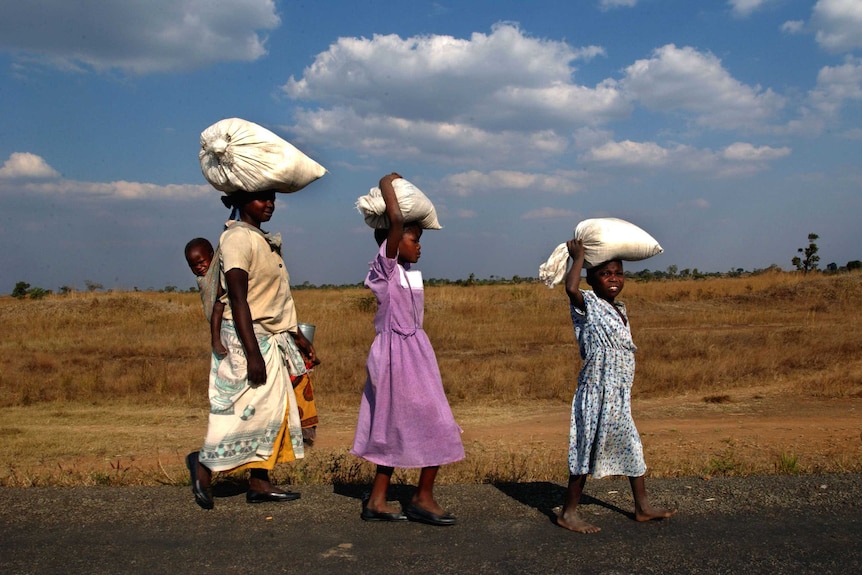 An African mother and her two daughters carry maize sacks on their heads. The mother also carries a baby on her back.