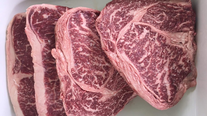 Wagyu steak with the distinctive marbling.