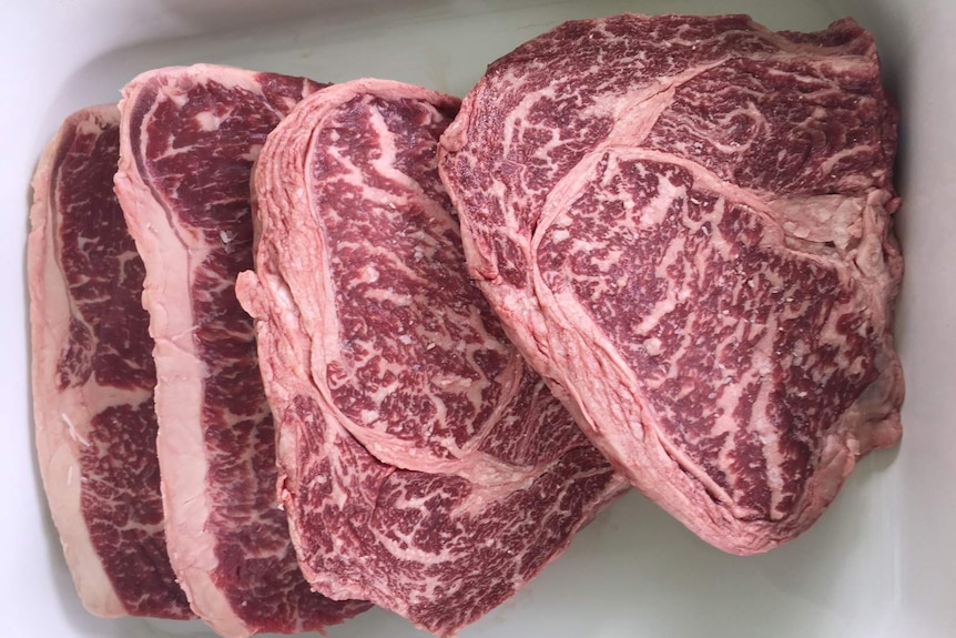 Wagyu steak with the distinctive marbling