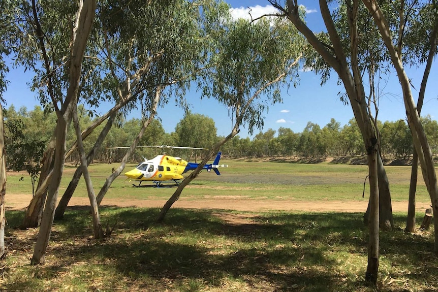 A yellow and blue emergency helicopter can be seen landed on grass amid parklands.