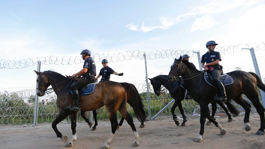 Hungarian mounted police patrol the border with Serbia