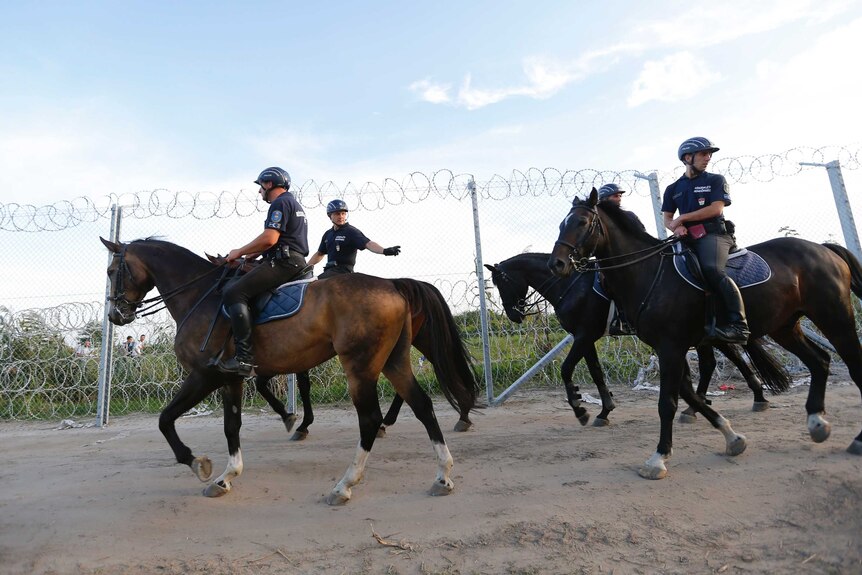 Hungarian mounted police patrol the border with Serbia