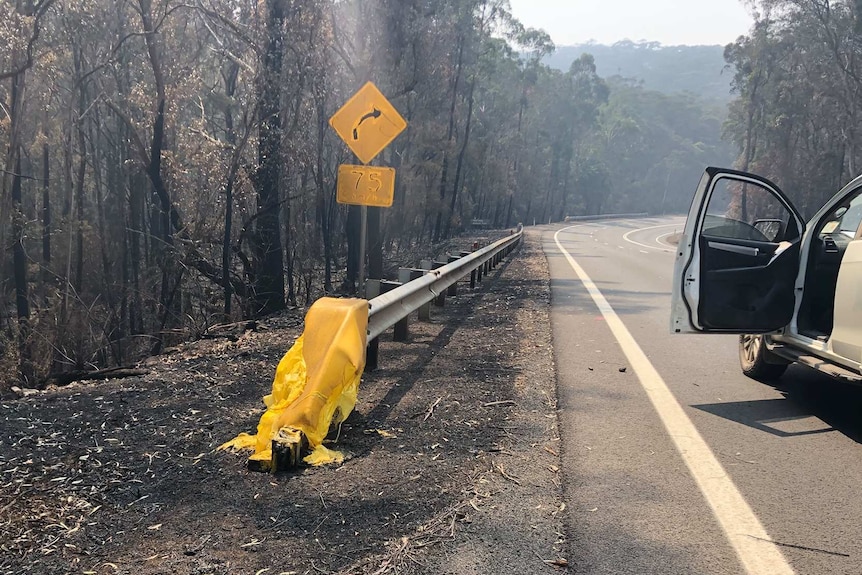 A melted road barrier surrounded by burnt trees.