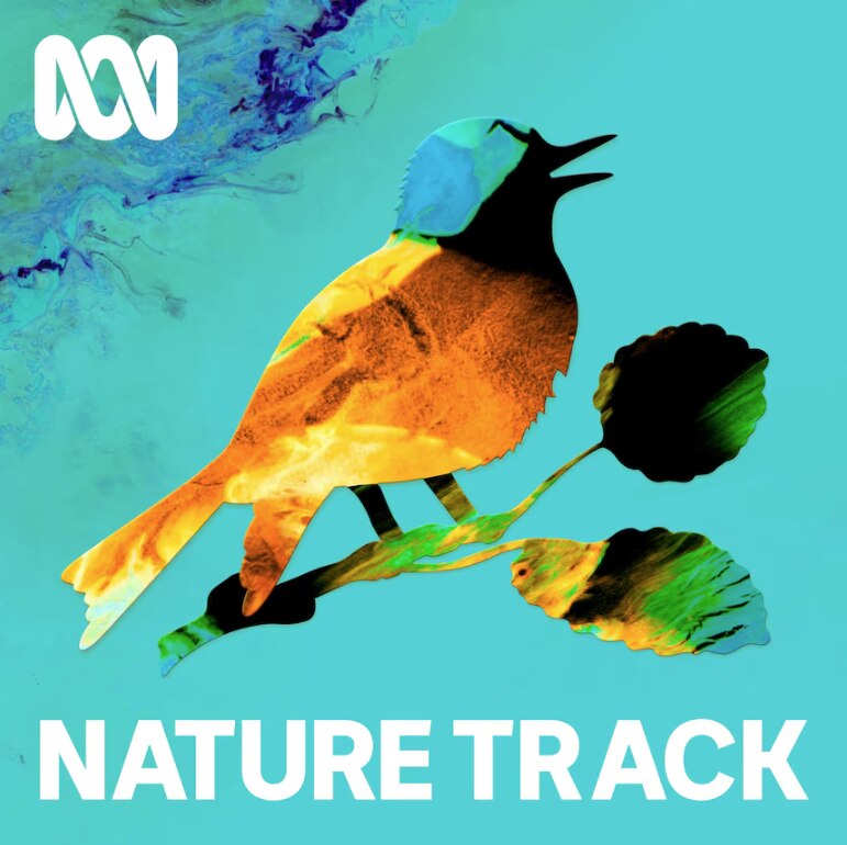 Text reads Nature Track with a picture of a bird on a twig