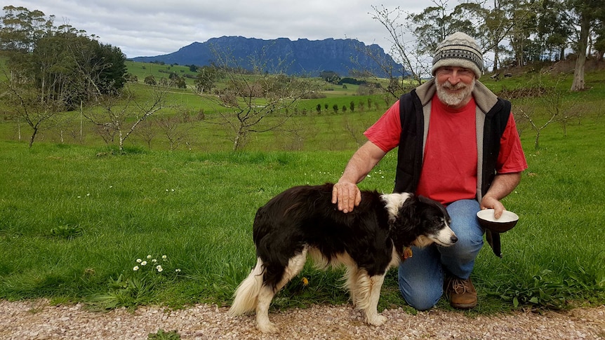 Man and dog in orchard surrounded by grass with mountain behind