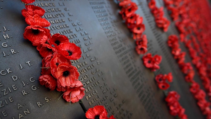 Poppies next to names on the Roll of Honour at the Australian War Memorial.