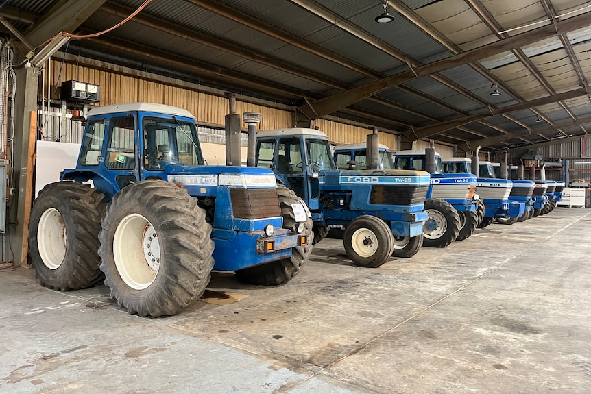 Blue Ford tractors lined up in a collection.
