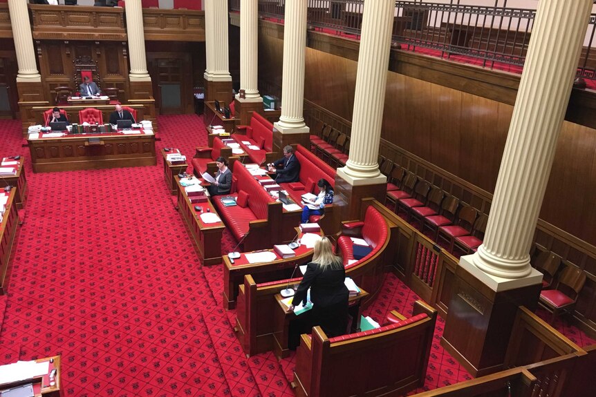 Tammy Franks speaks in SA Parliament.