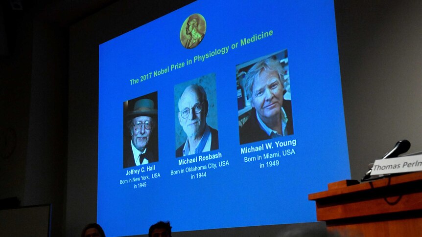The names and faces of Jeffrey C. Hall, Michael Rosbash and Michael W. Young are displayed on a blue screen.