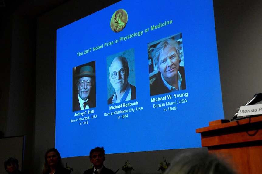 The names and faces of Jeffrey C. Hall, Michael Rosbash and Michael W. Young are displayed on a blue screen.