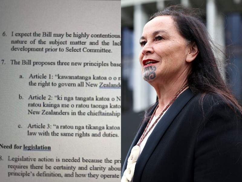 A screen shot of the leaked document sits beside an image of Debbie Ngarewa-Packer a co-leader of the Maori Party