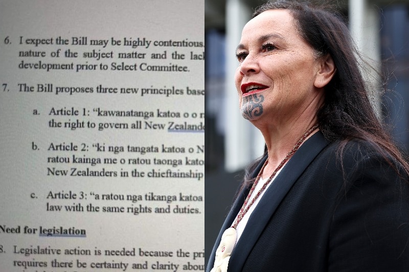 A screen shot of the leaked document sits beside an image of Debbie Ngarewa-Packer a co-leader of the Maori Party