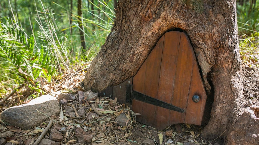 A small wooden door with a handle.